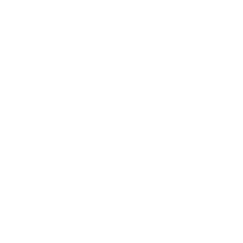 LaceLinks